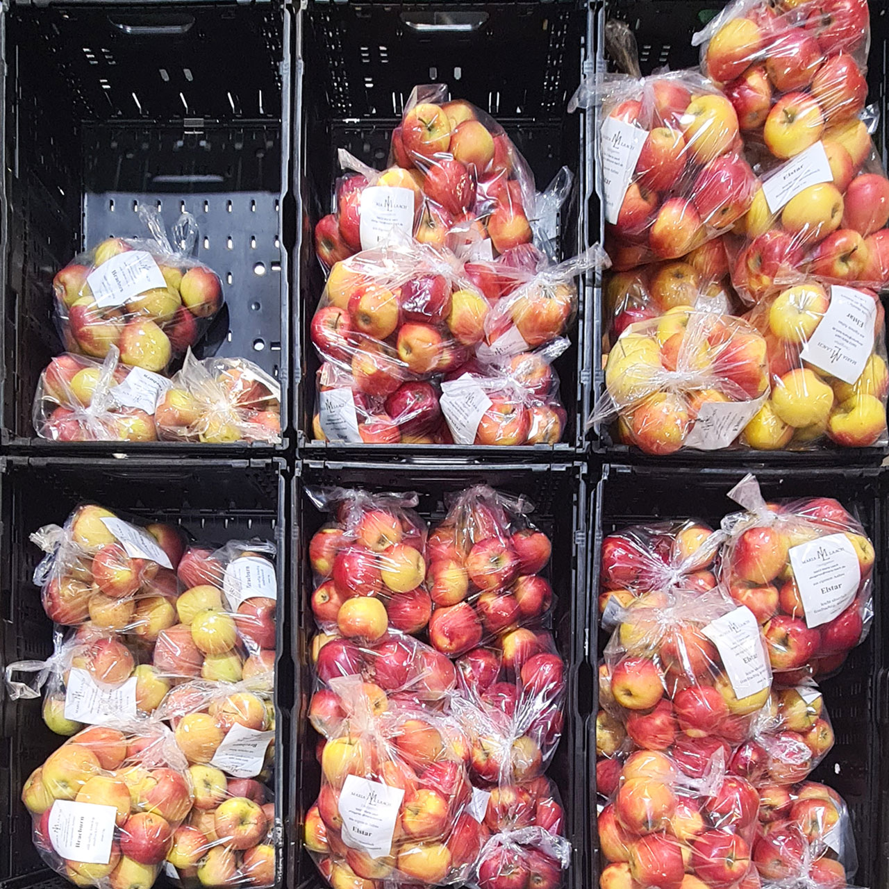 Äpfel aus der Region