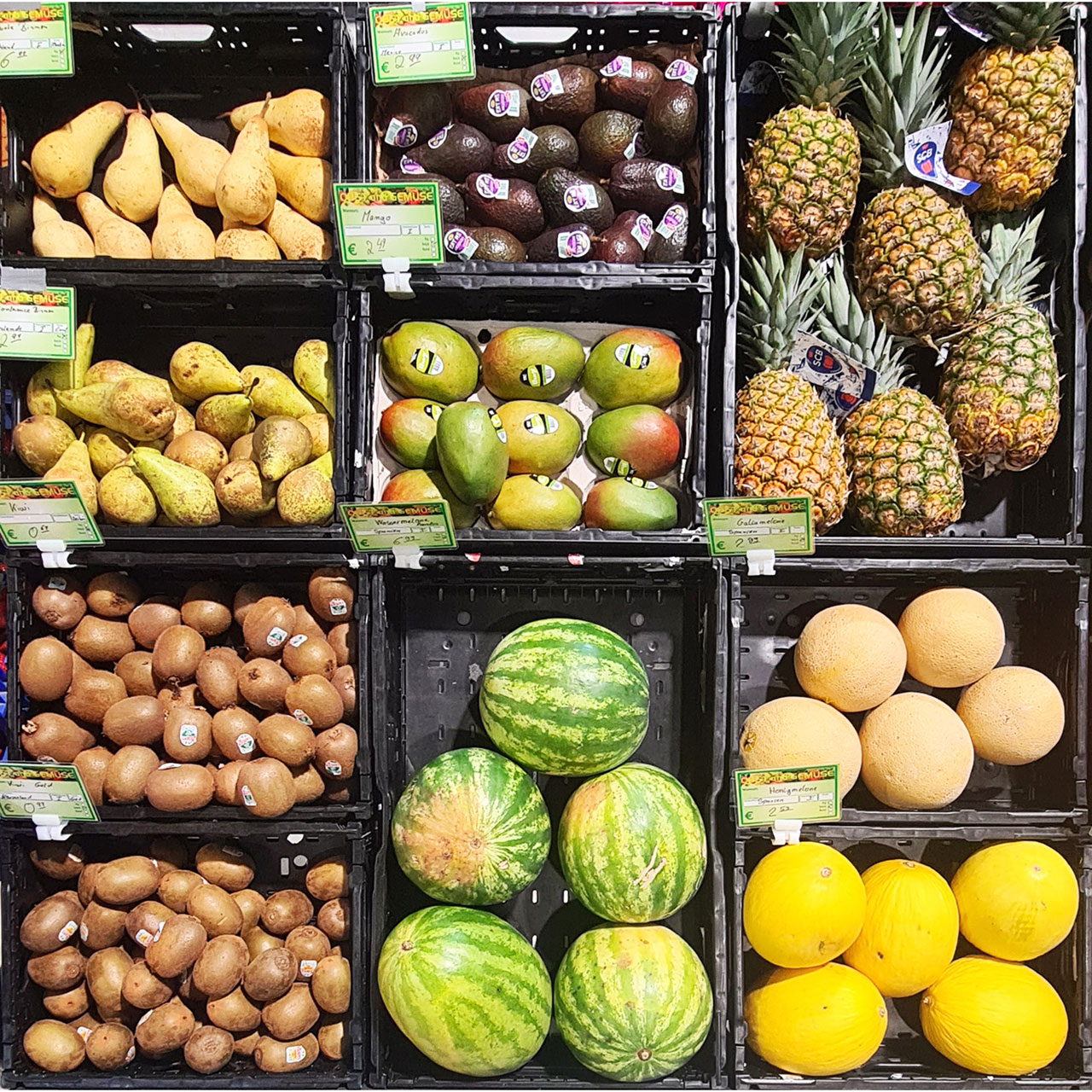 Bananen, Zitrusfrüchte und Ingwer